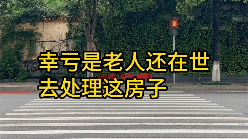 《光与影》各平台画面对比视频：5090帧数破100FPS
