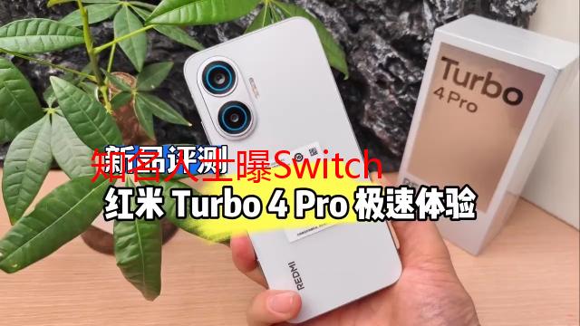 知名人士曝Switch2将更新主题商店 含付费免费选项