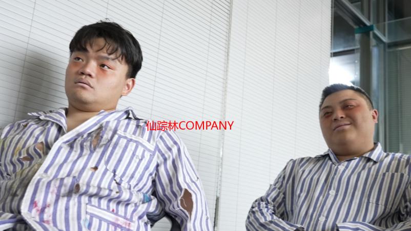 仙踪林COMPANY LIMITED：探索饮品行业的创新之路