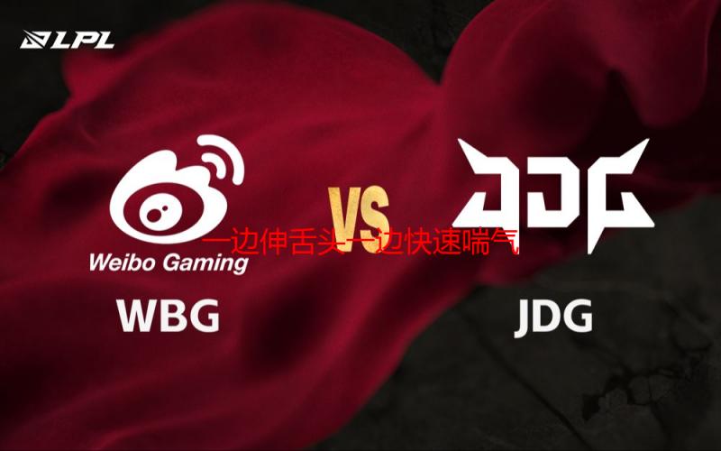 一边伸舌头一边快速喘气：狗狗的秘密语言——解读狗狗的喘息行为