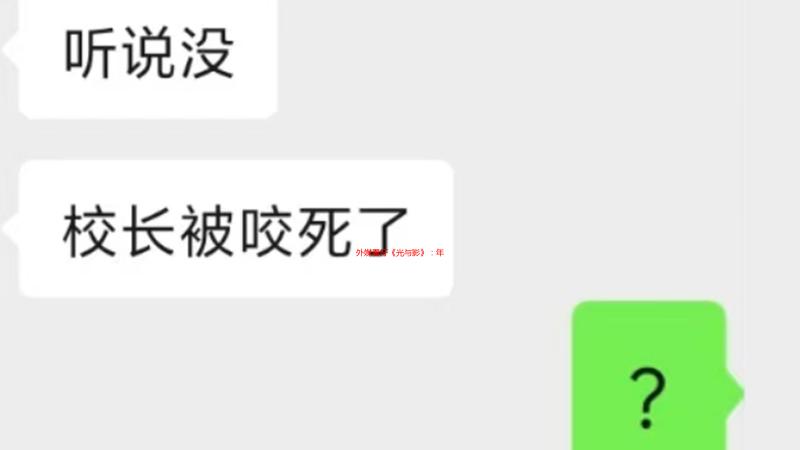 外媒看好《光与影》：年度不好说 但有一个奖项肯定稳了