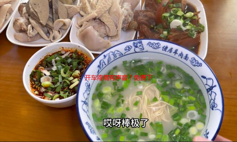 开车疼痛有声音？免费下载网站大揭秘：原因、解决与替代方案