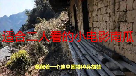 适合二人看的小电影南瓜：浪漫温馨的秋季观影推荐