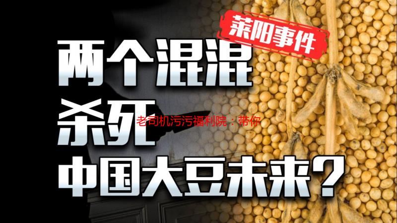 老司机污污福利院：带你探索隐藏的福利世界