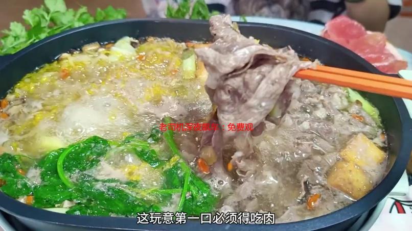 老司机深夜飙车：免费观看背后的那些年少轻狂