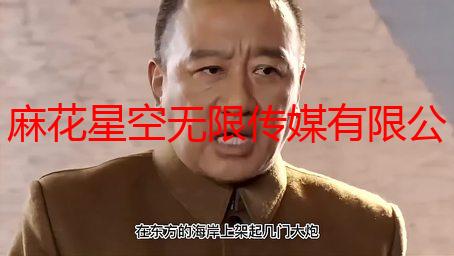 麻花星空无限传媒有限公司：深度解析其业务范围、发展历程及市场地位