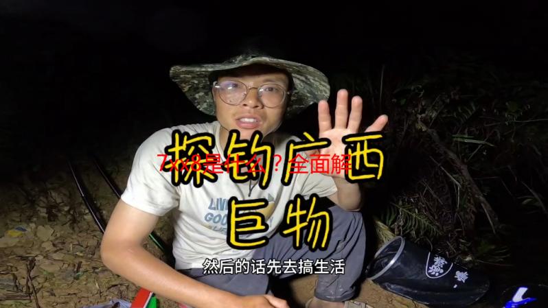 7xx8是什么？全面解析7xx8的含义、应用与未来发展