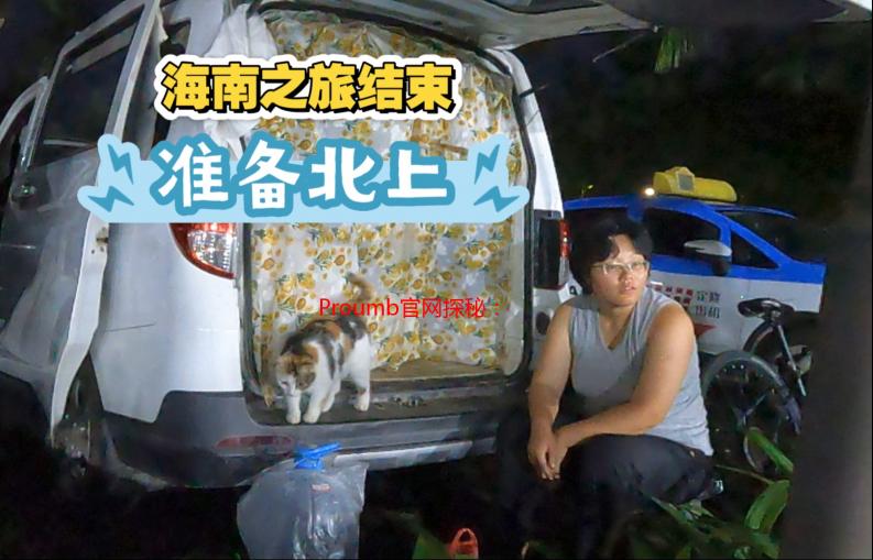 Proumb官网探秘：我的成人用品购物之旅