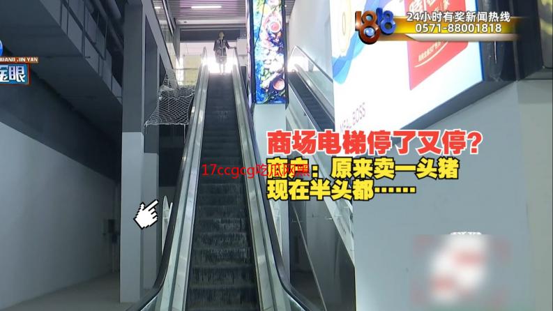 17ccgcg吃瓜网黑料爆料：蘑菇事件背后的真相，我亲历的网络风暴