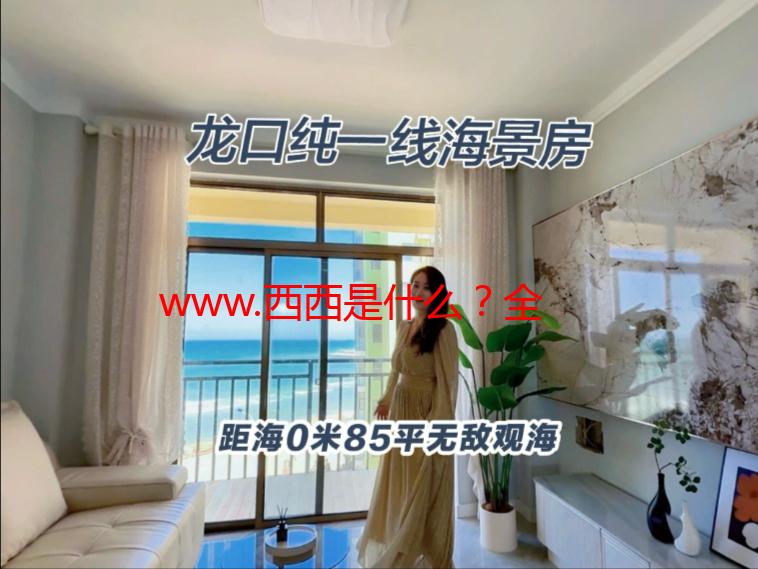 www.西西是什么？全面解析西西网站功能与使用技巧