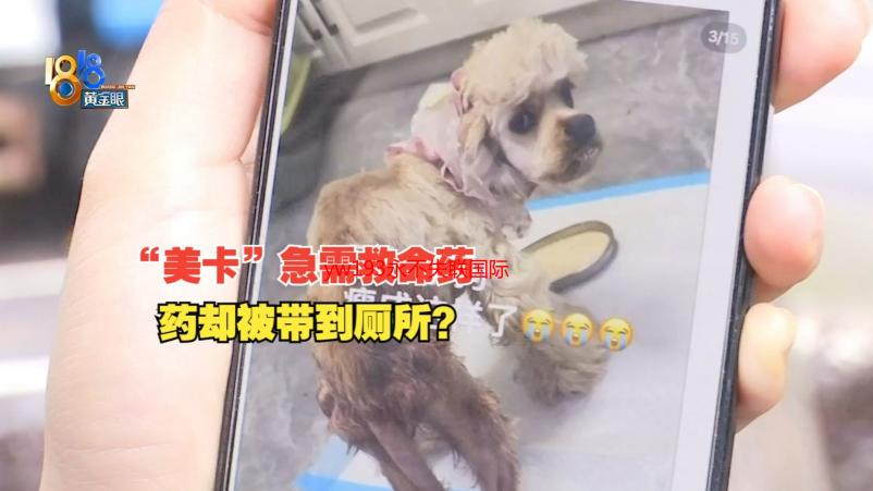 yw193永不失联国际：深度解析其背后的技术与安全机制