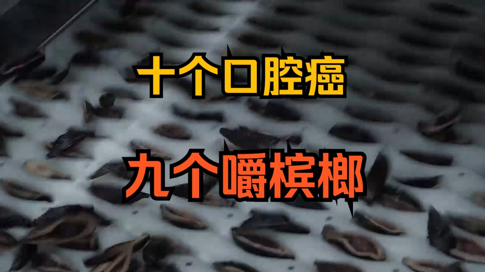 RAPPER日本免费大全APP下载：海量日系说唱音乐尽在掌握