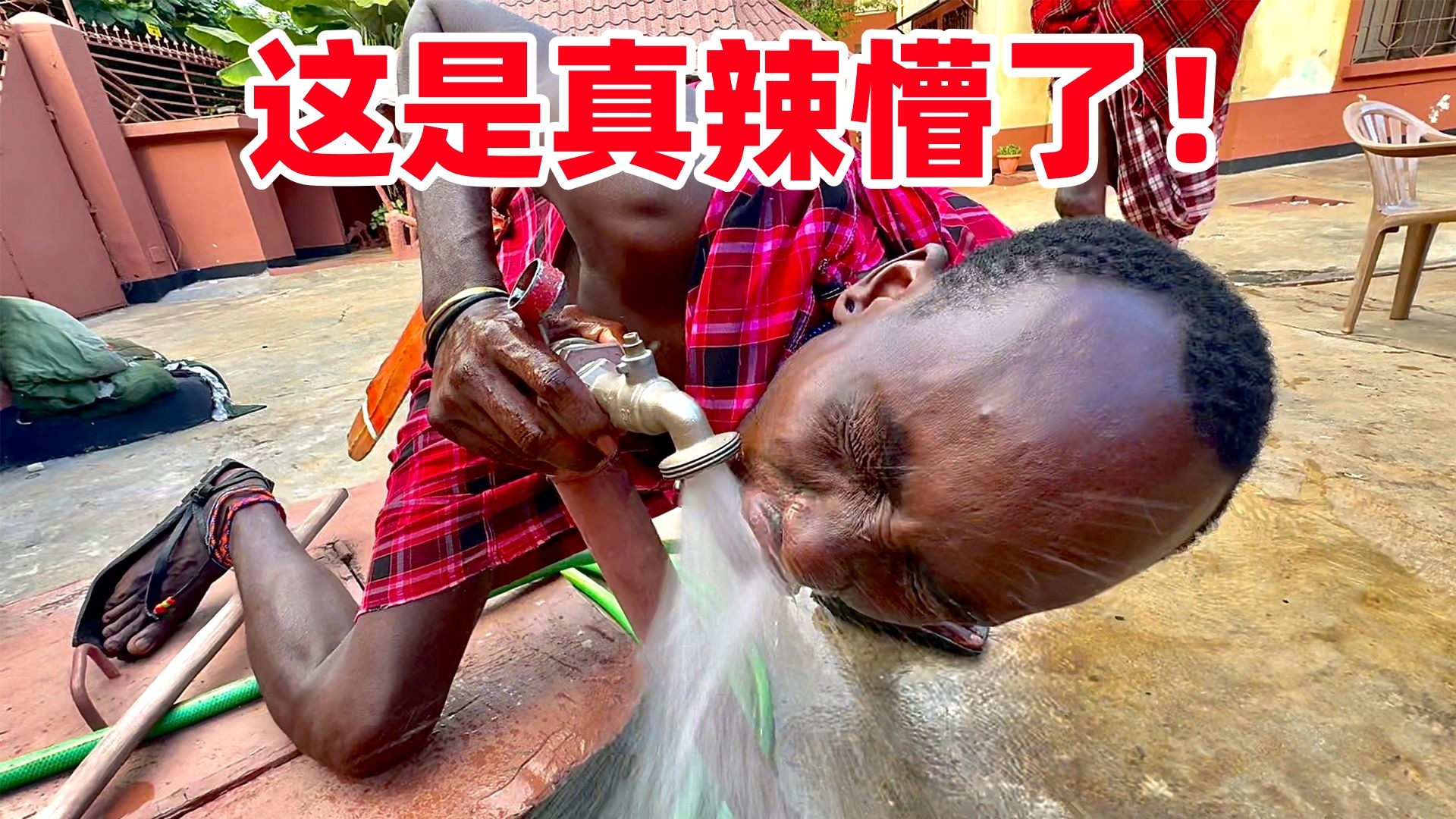 汽车上开两个的花苞：原因解析与处理方法