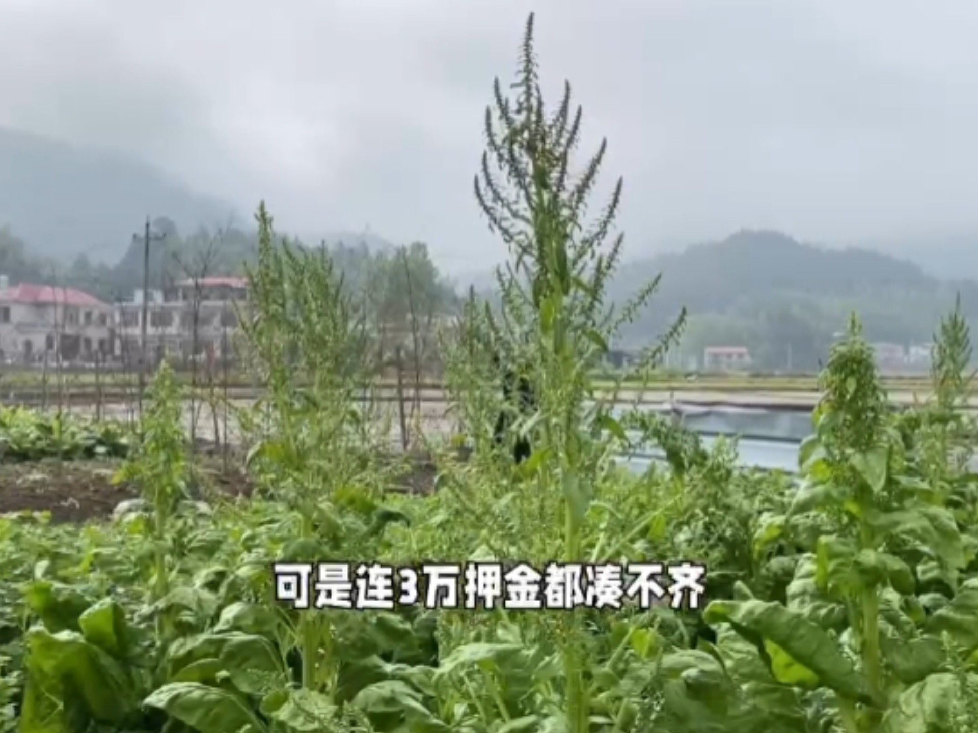 一边做饭一边躁狂怎么办呢？焦虑症患者的厨房自救指南