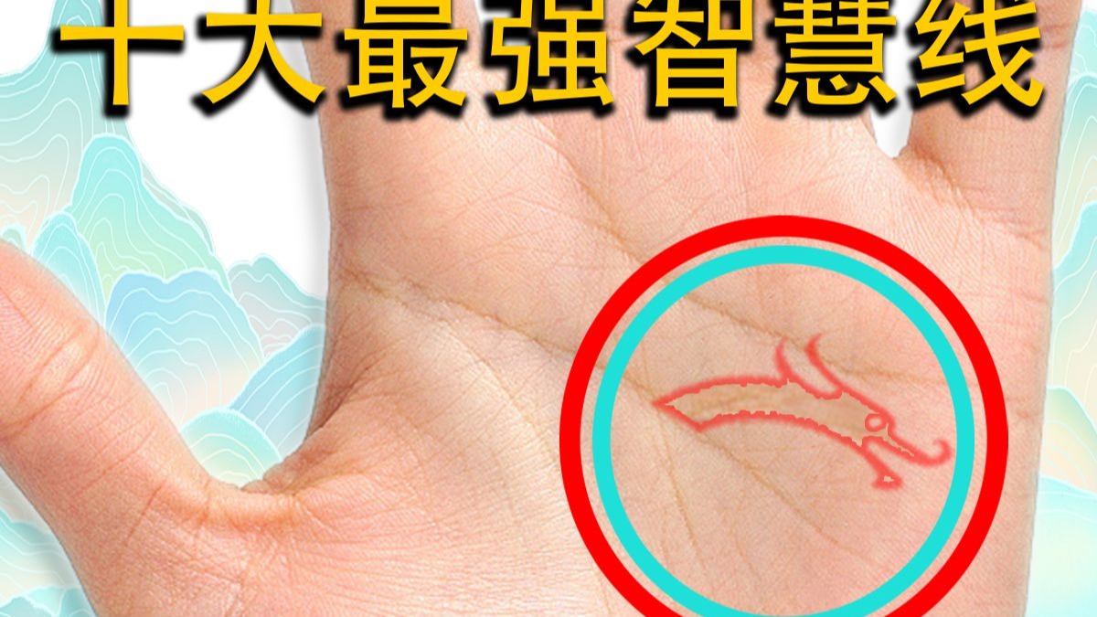 两个男孩的秘密花园：我们如何探索彼此的世界