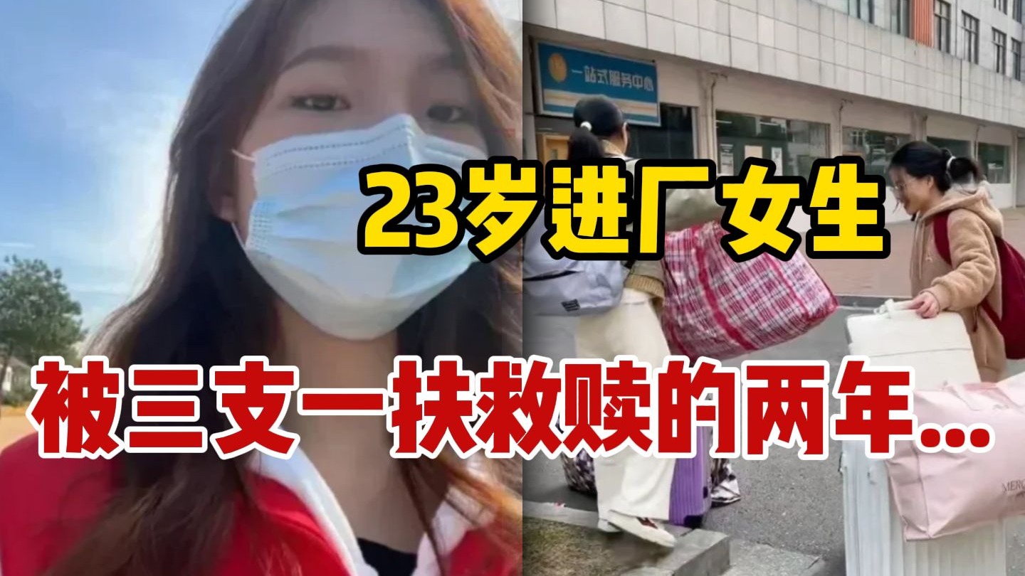 日本MindUp：揭秘狗狗行为差异，人犬殊途？