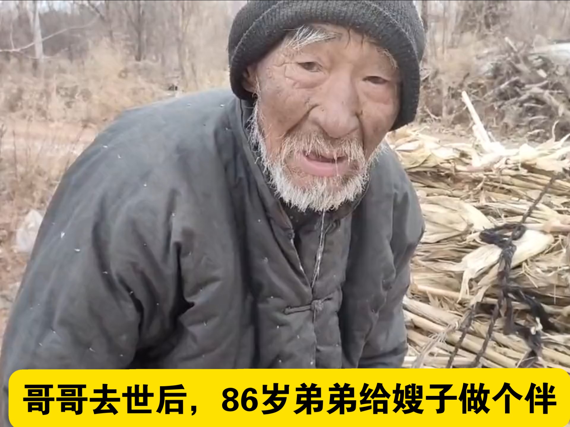 彩虹男GARY网站：探索多元性与精彩生活的内容平台