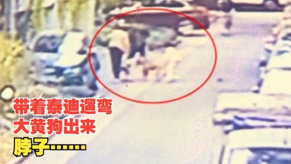 英语课代表的秘密：那些年，课桌下的涟漪