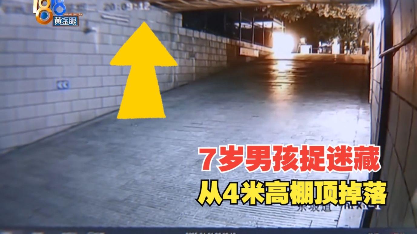 4388x成最大免费视频：高清无码在线观看的终极指南