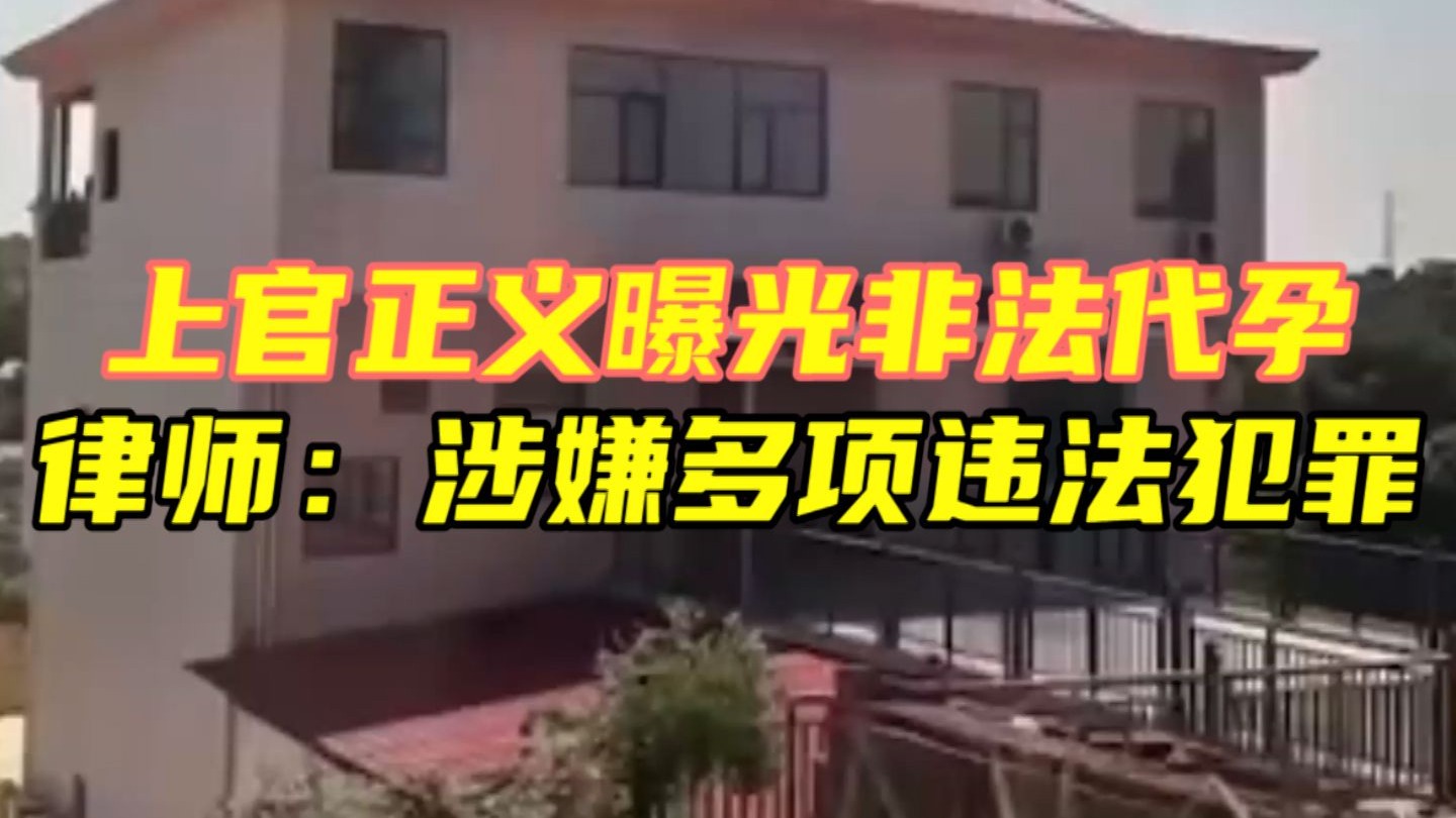 雨后小故事动图：清新治愈的雨后美景GIF分享