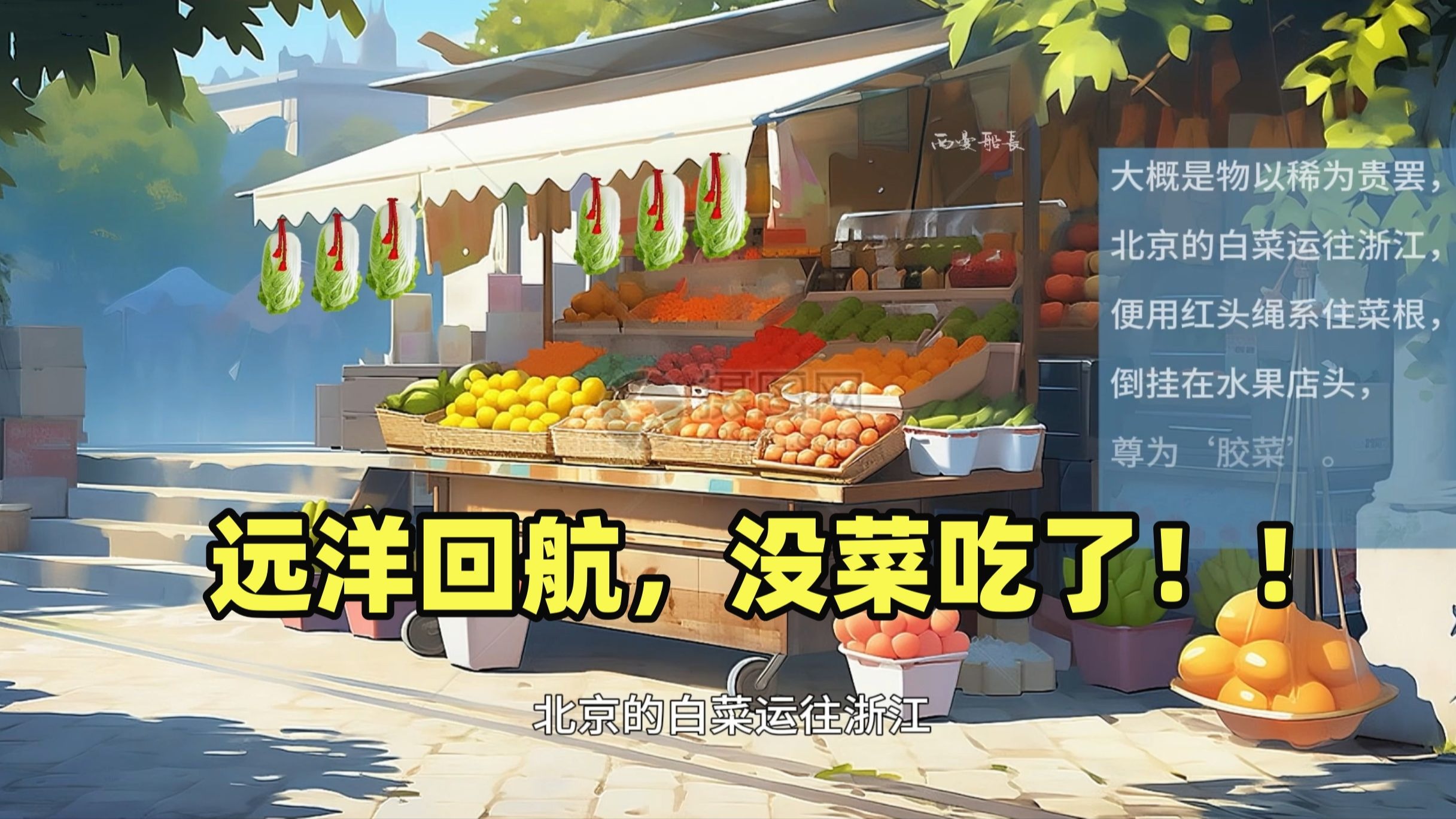 亚洲无人区一码二码三码区别详解：高清资源选择指南