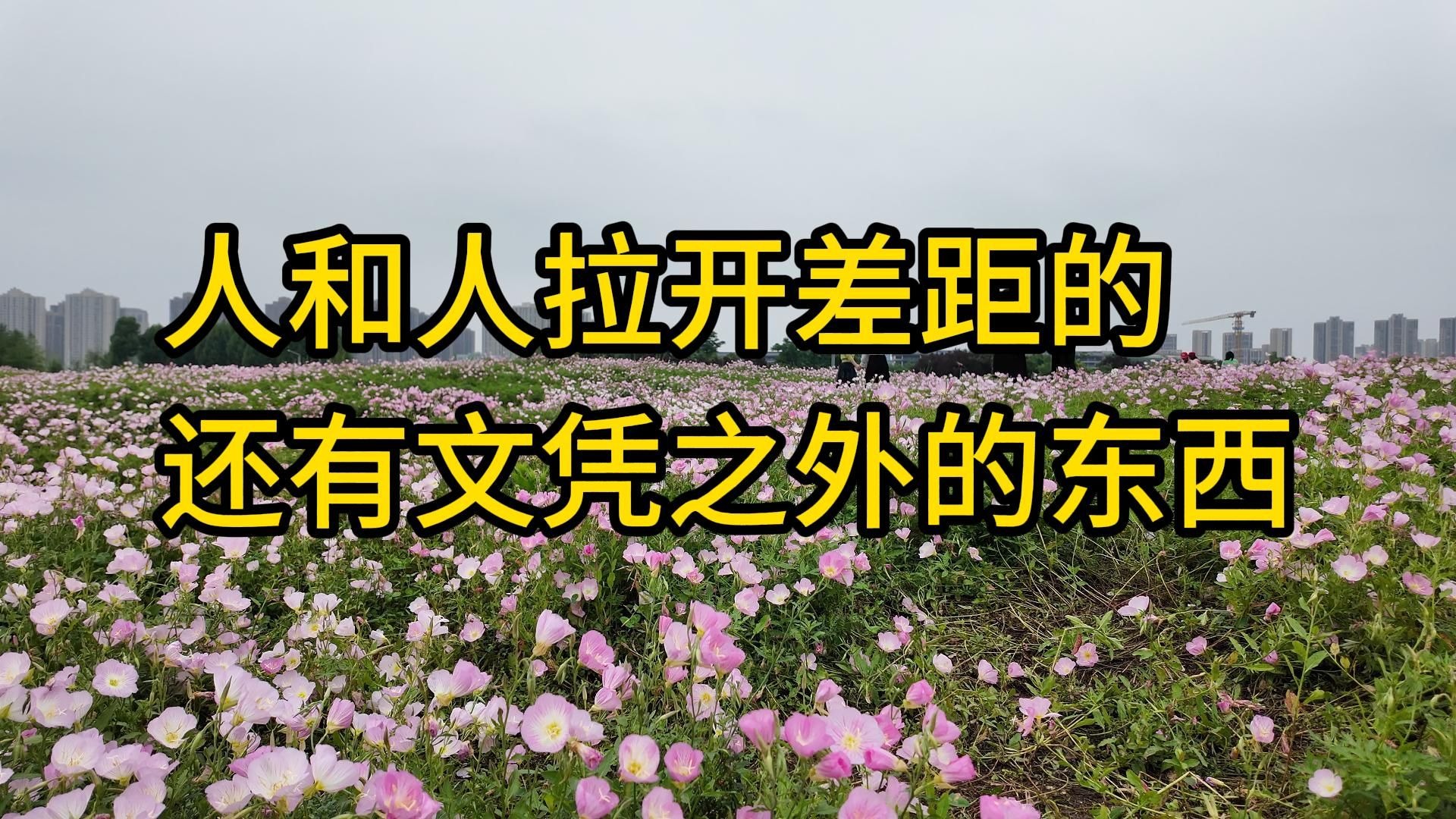 在公交车上被撞八次高黄：我的倒霉经历与安全反思