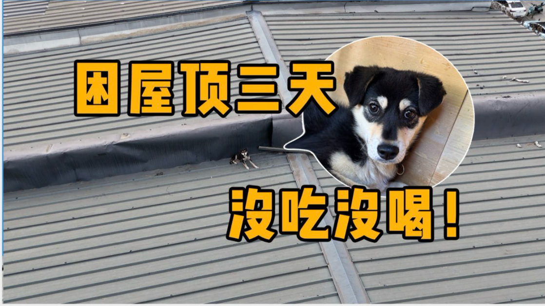 宝宝“水漫金山”？几天没做，故事多到你想不到！