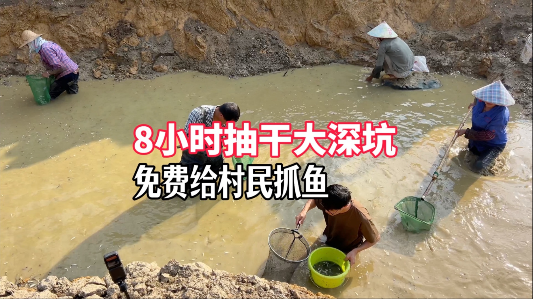 一边伸舌头一边快速喘气：狗狗的秘密语言——解读狗狗的喘息行为