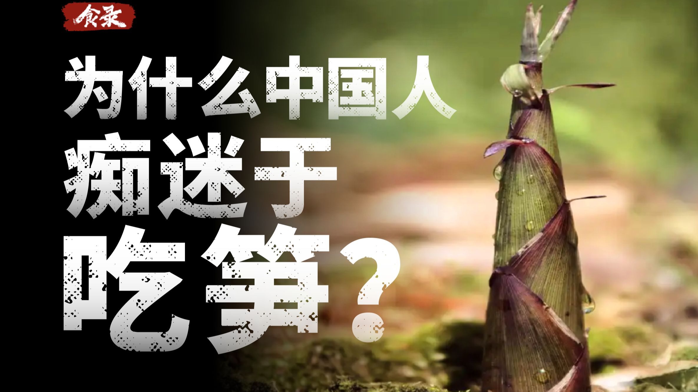 跪下S货水都这么多了还装？揭秘背后的真相与应对技巧