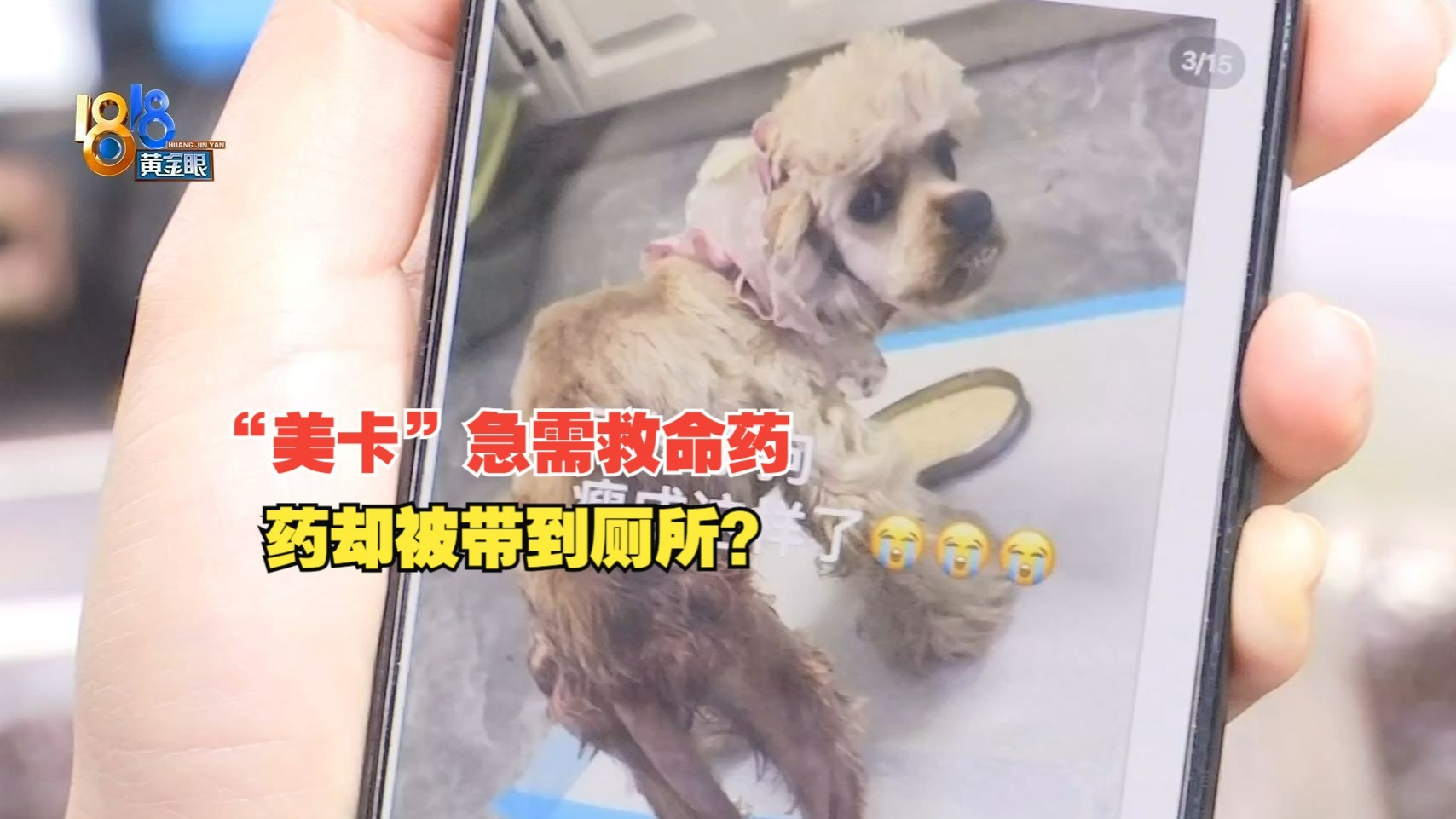 成品网站5778入口的功能详解及使用指南