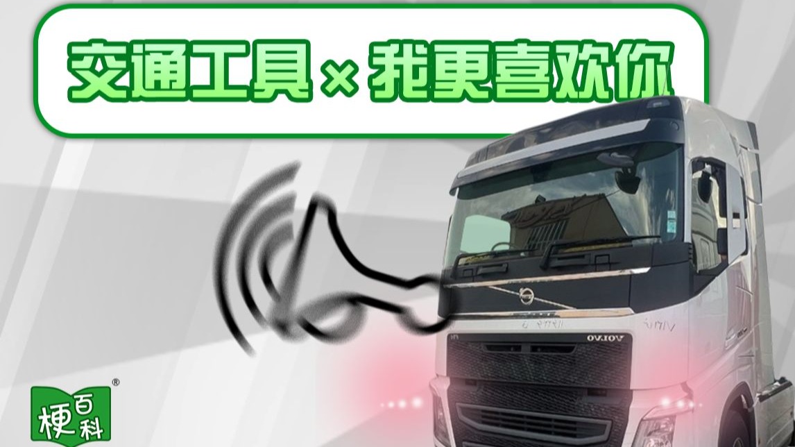 古文多肉1对N：深度解析与养护指南