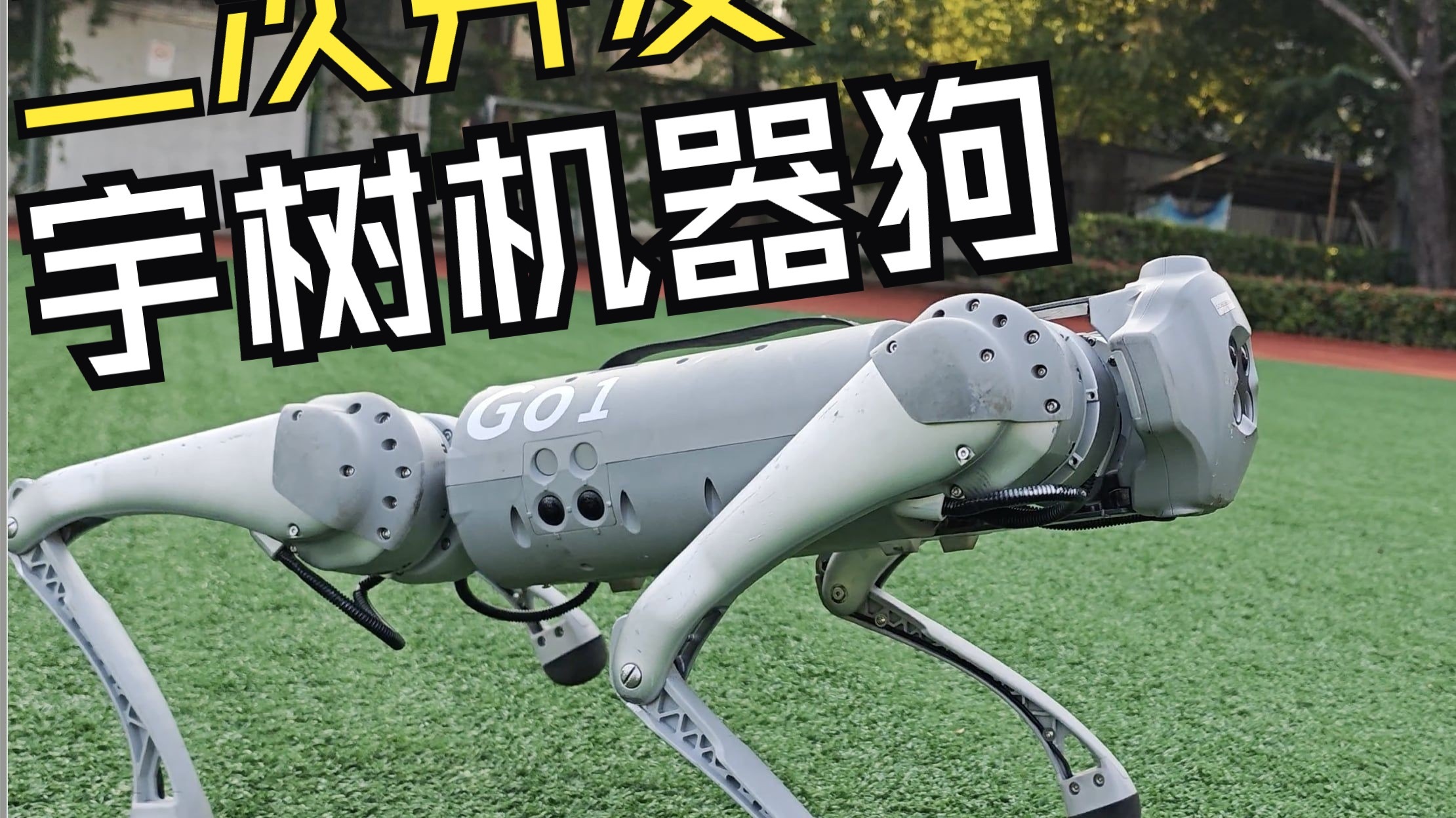 畜禽与人PPT详解：深入解读人与动物和谐共生的奥秘