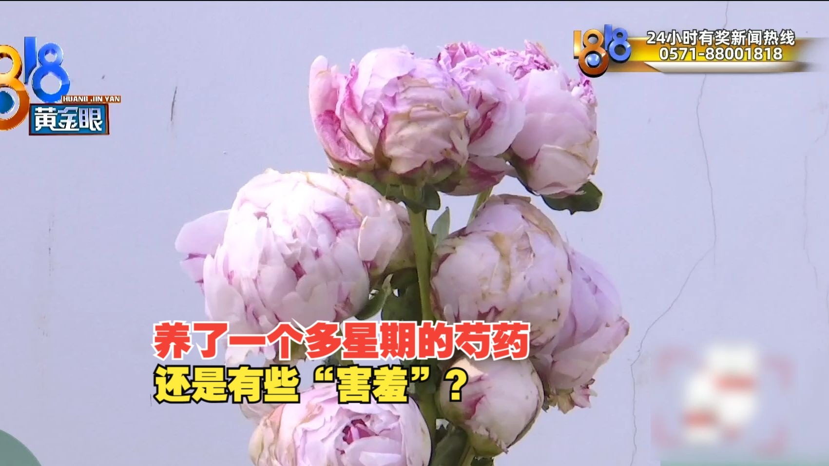 步步有悬念时时有惊喜，996传奇盒子“天烽传奇”打造复古新创意
