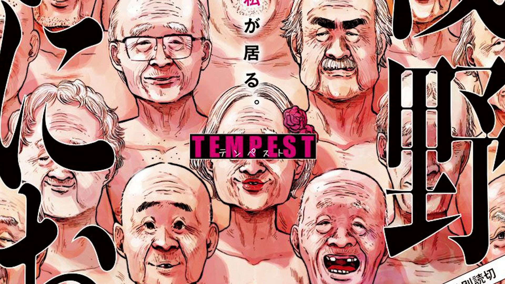 快让我吃一下你的小扇贝：一份详细的小扇贝食用指南