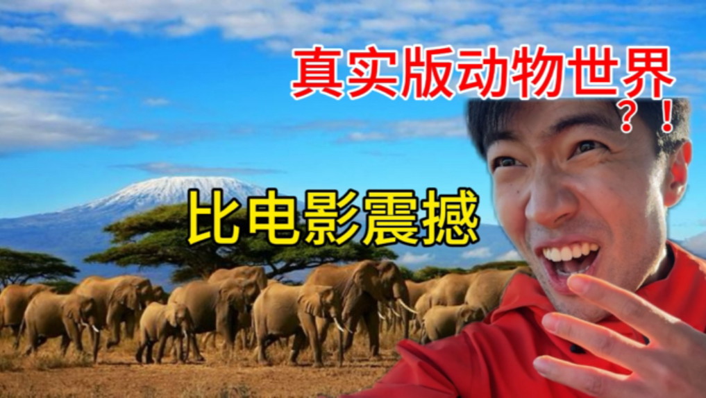 吸引她，从“里面也要好好疼爱”开始：最简单易懂的呵护指南