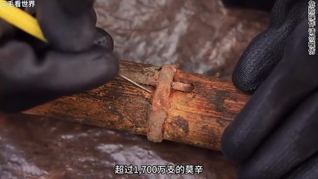 荒野大镖客2大妈传奇：深度解析游戏中的女性角色与生存策略