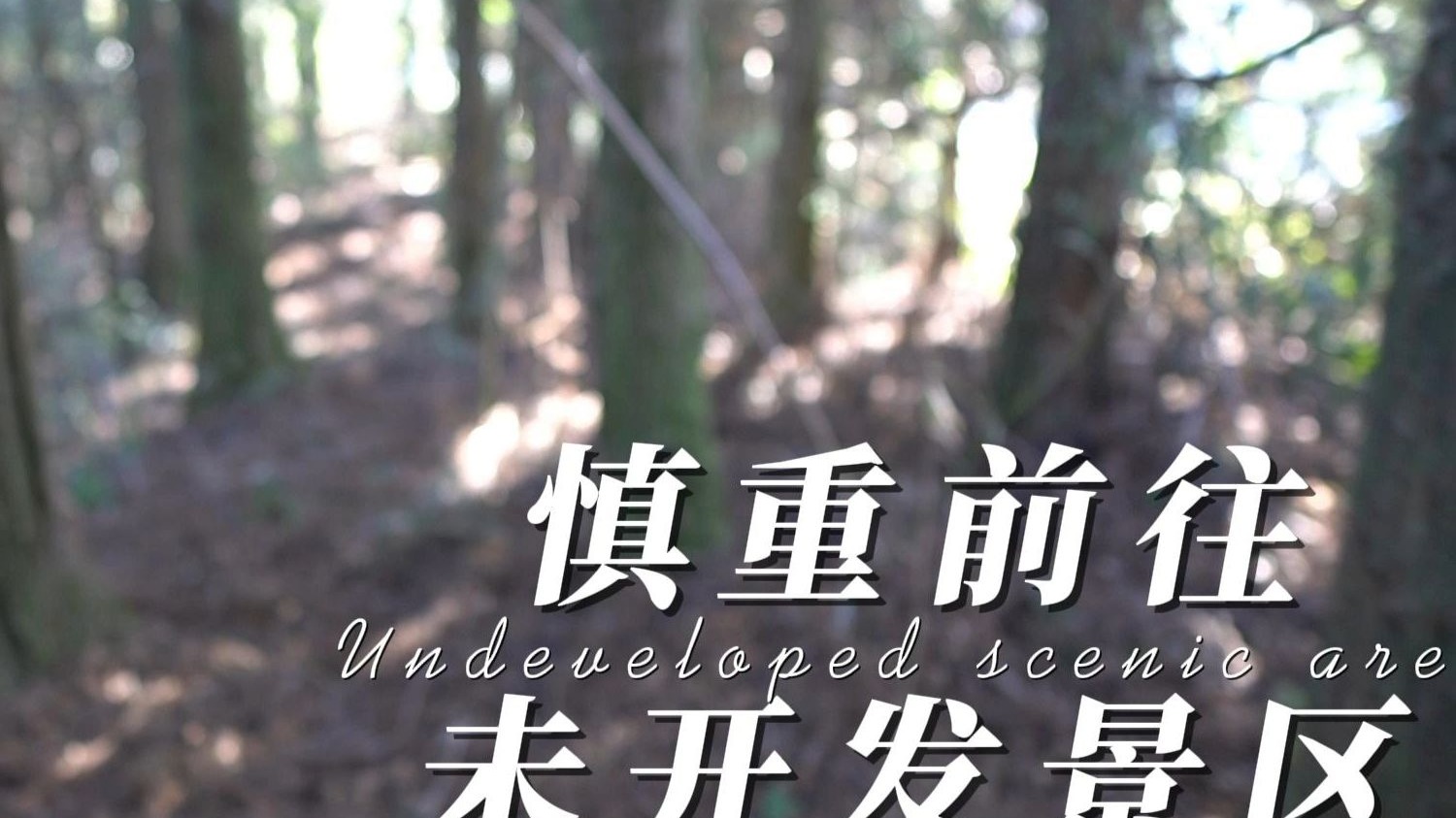 考试倒数成为公厕？别慌！考前焦虑缓解指南