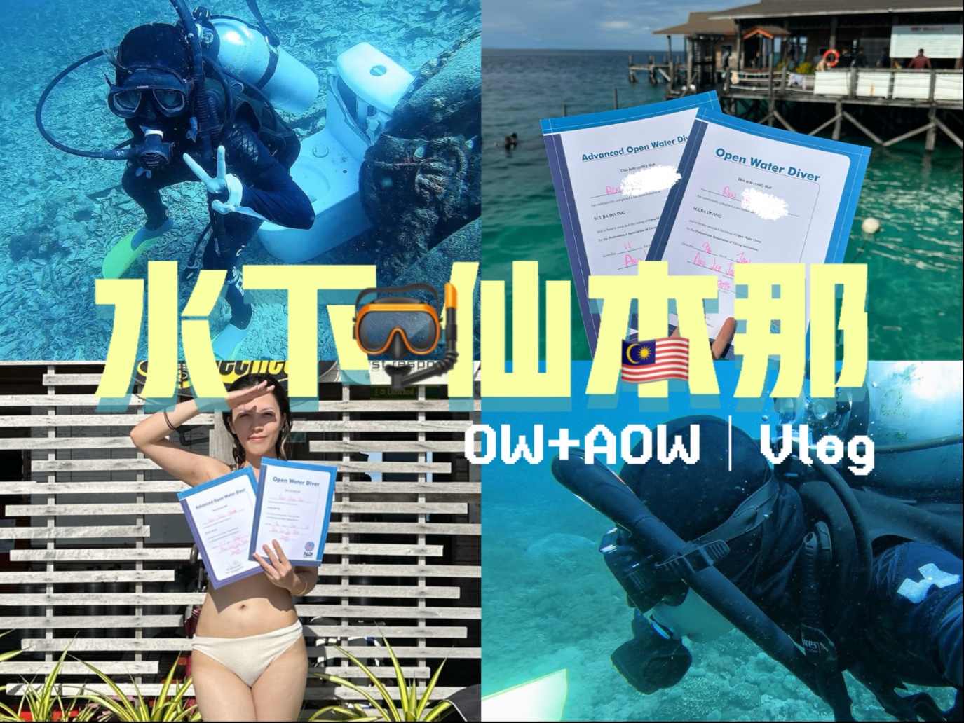 2015小明看看：带你重温经典，高清资源一网打尽