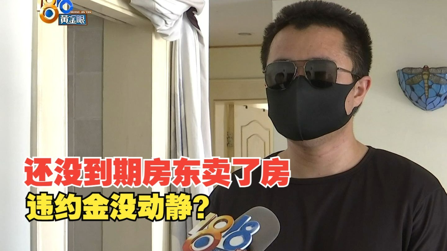 成品网站w灬源码1688网页：搭建教程与源码获取指南