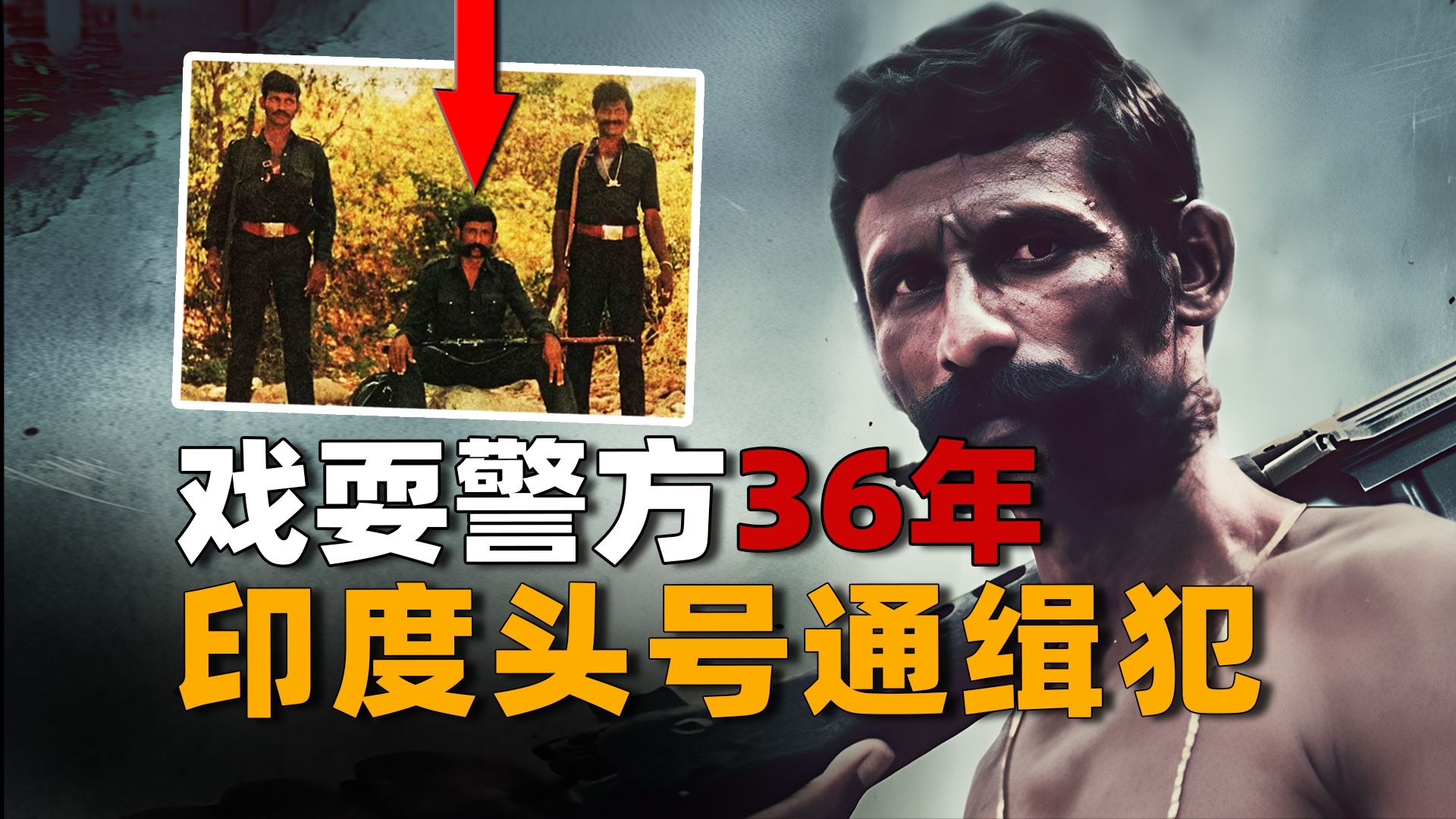 免费CRM系统无需下载：解析如何获取并使用完全免费的客户关系管理工具