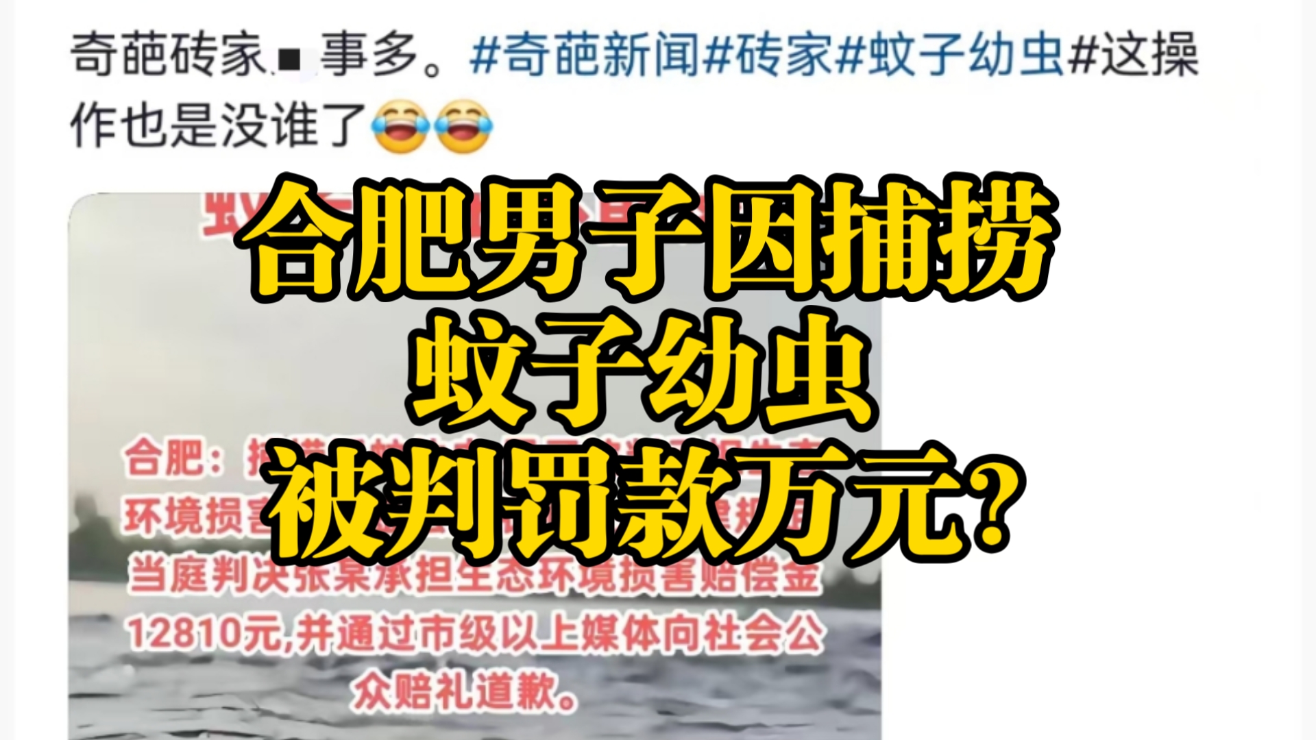 老太奶的秘密花园：我的BBW之旅