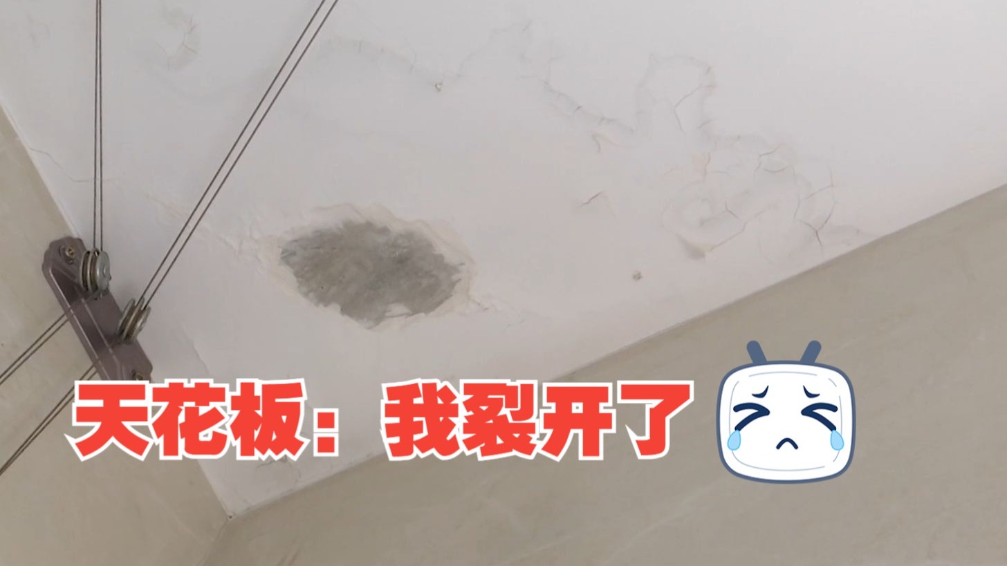 美国37大人文艺术专业课程解析：留学选校指南