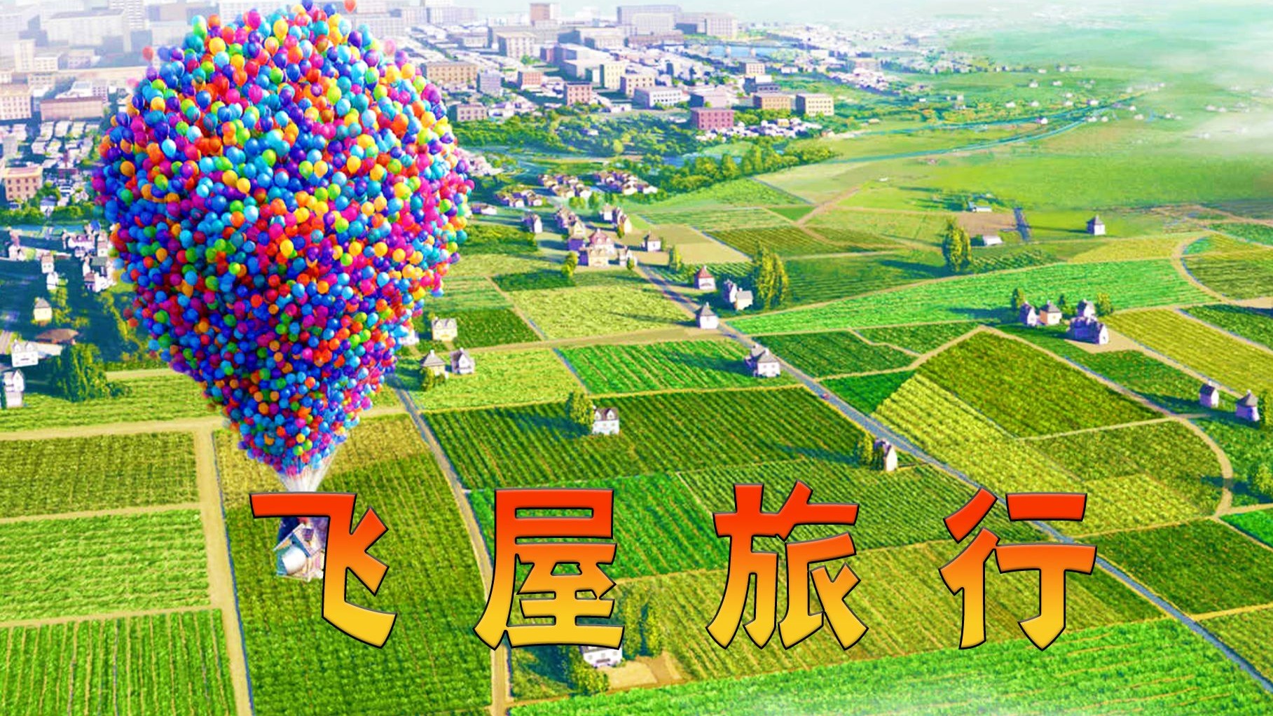 欧美金银瓶1-5人格骨头茶深度解析：功效、成分及适用人群