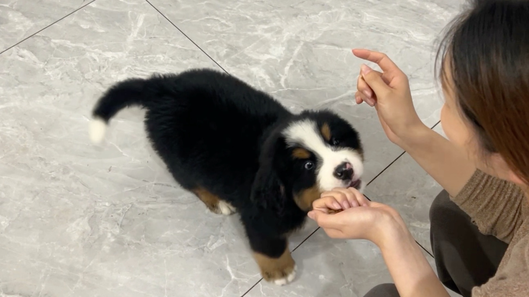 公么的爱：秀婷的秘密花园