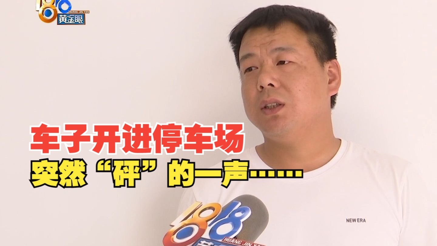 穿着电动玩具去上班的说说：都市新奇体验与职场穿搭新风尚