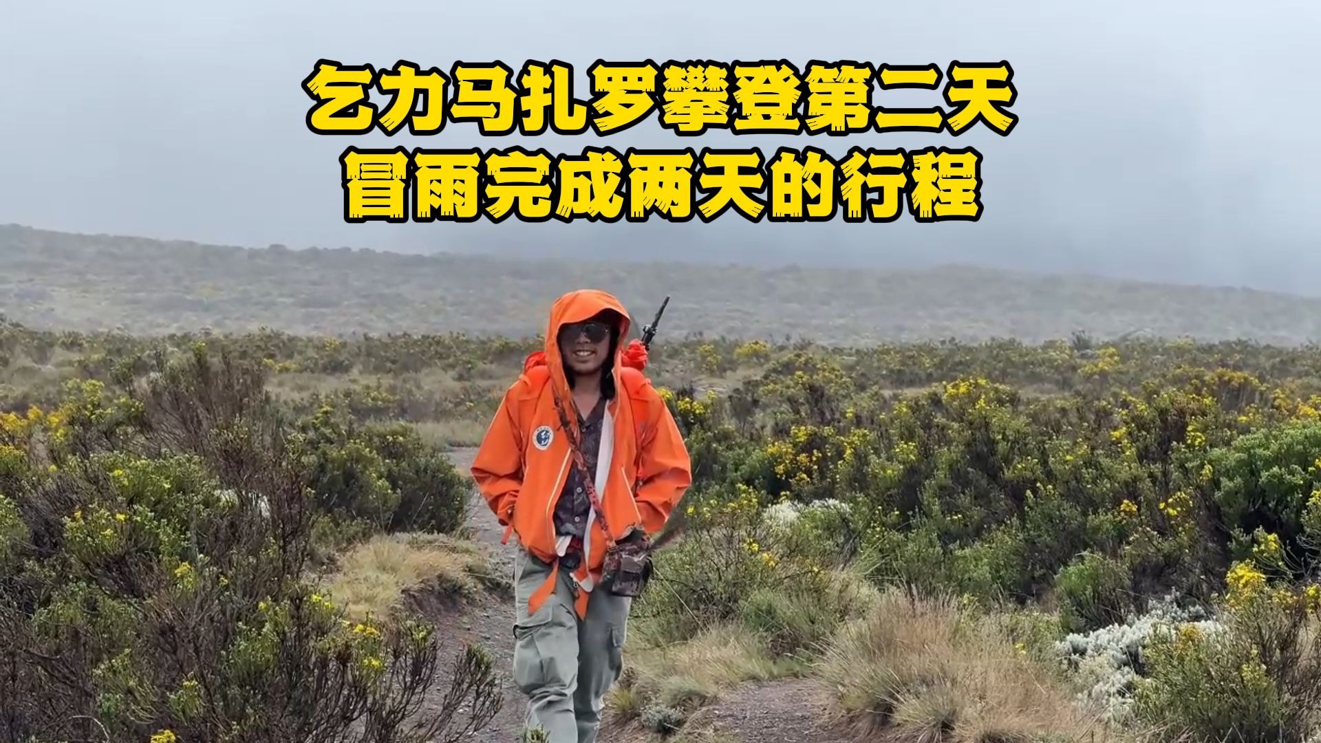 三叶草GY8566：我的幸运密码与品质生活
