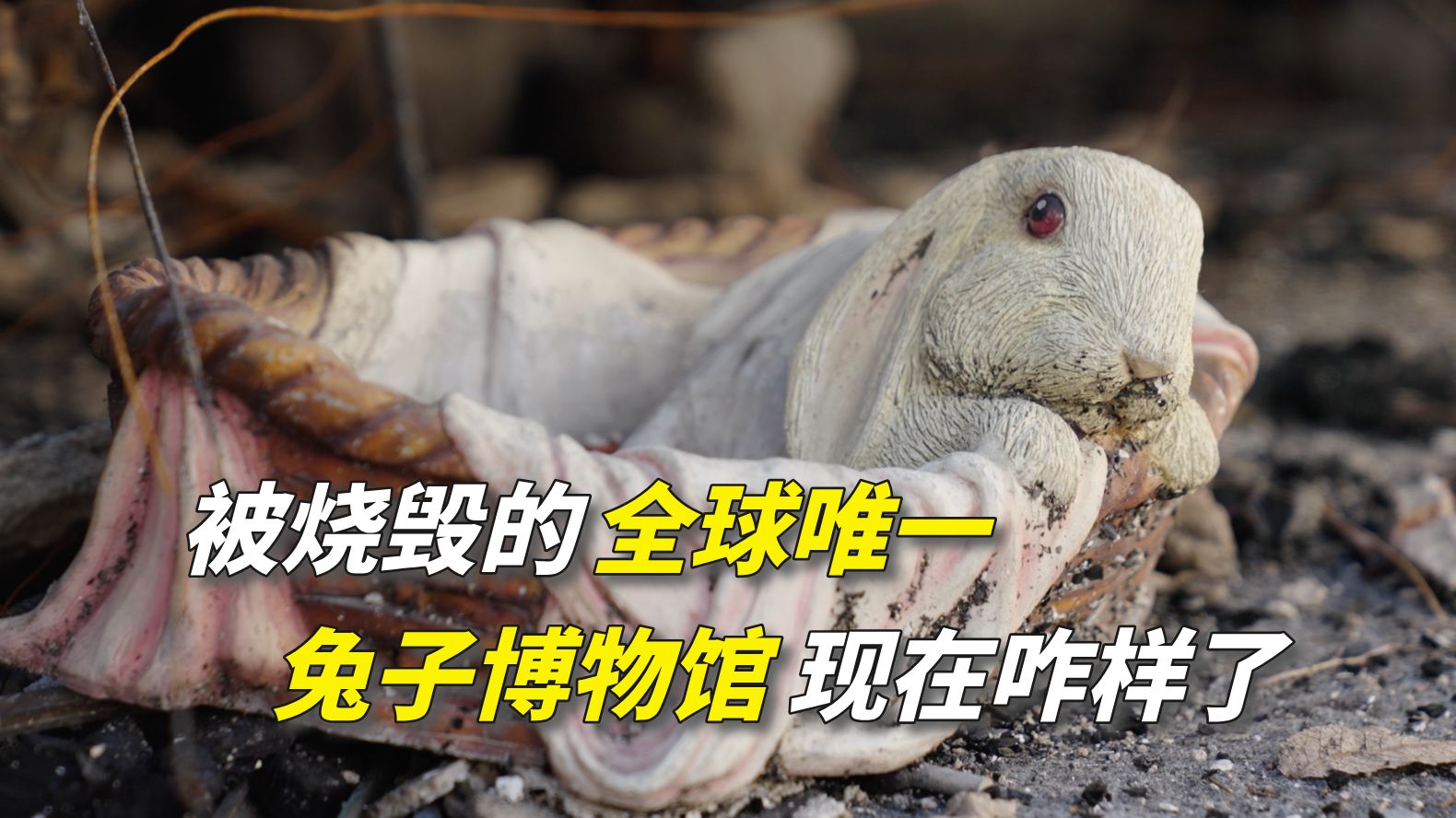 劲爆！51CG吃瓜：我亲历的互联网大戏，全程高能！