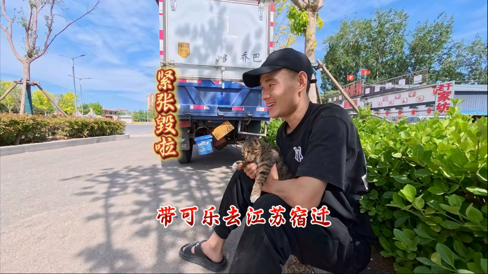 猫咪控必看：一键直达！揭秘正品猫咪官网，再也不怕买到假货！